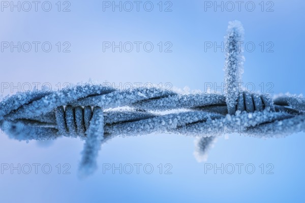 Frosted wire mesh fence in wintertime in blue colours. Frosted iron fence in wintertime in blue