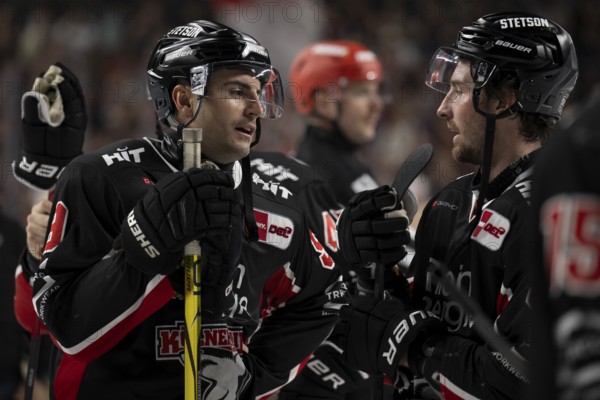 Laura Dick Cologne, LanxessArena, North Rhine-Westphalia, Maximilian Kammerer (Cologne Sharks, #9),