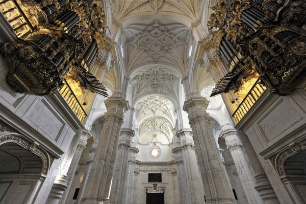 Santa Maria de la Encarnación, Cathedral of Granada, Interior view, Impressive cathedral interior