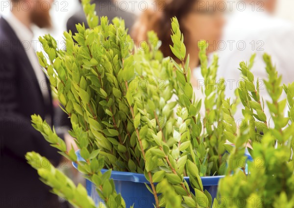 Ancient Jewish autumn holiday Sukkot. Sale of ritual plants on the traditional pre-holiday market