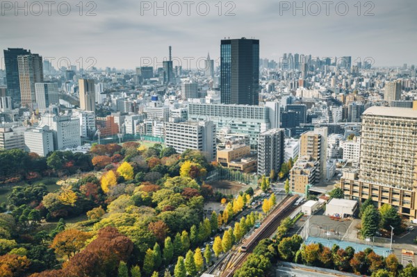 Koishikawa Korakuen Garden and modern buildings at autumn in Tokyo, Japan
