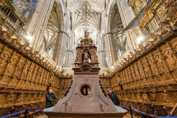 Chor, Catedral de la Asunción de la Virgen, Salamanca, Autonome Gemeinschaft Kastilien und León,