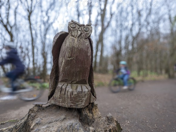 Wooden owl on a path in the haunted forest on the cliffs leading to the Baltic Sea, Nienhagen,