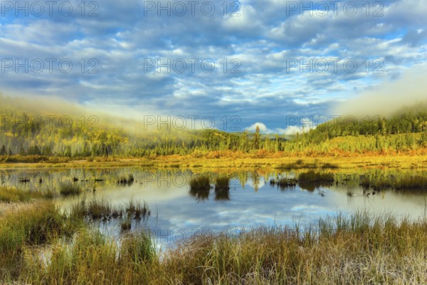 Cool cloudy morning in the Rocky Mountains. Patricia Lake among the firs and pines. Water reflects