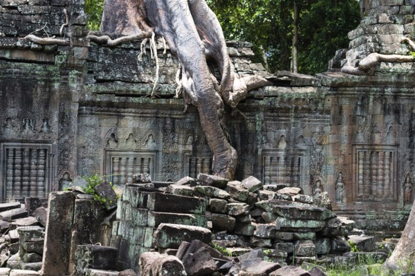 Buddhist temple buildings, jungle temples, mystical, Ta Prohm, Buddhist temple complex, UNESCO