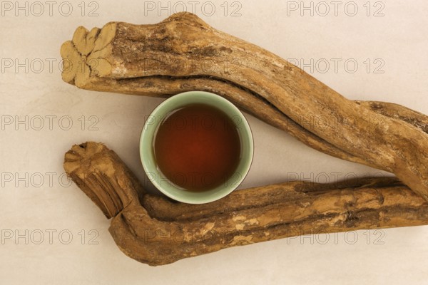 Traditional medicine Ayahuasca. Banisteriopsis caapi wood pieces. Medical natural psychedelics,