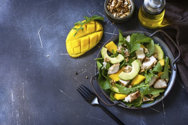 Healthy diet salad with arugula, mango, avocado, chicken grill, walnuts and vinaigrette dressing on