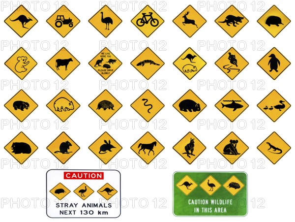 Australian warning road signs from Australia highways. Wildlife animals: Emu, Echidna, Tasmanian