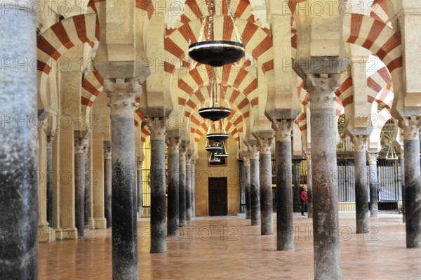 La Mezquita, Mosque, Cathedral of Cordoba, Cordoba, Andalusia, Spain, Europe, Elephant-like arches