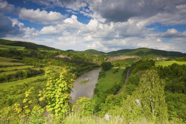 View from the hill into the valley with the Berounka river. Berounka river, limestone rocks,