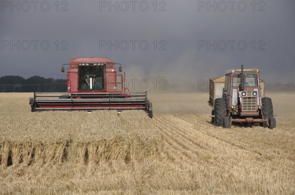 TIMARU, NEW ZEALAND, CIRCA FEBRUARY 2010: Farmers harvest a crop of wheat, South Canterbury, New