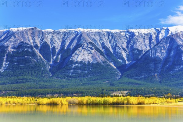 In the famous artificial Abraham lake reflects the golden foliage of aspen and birches. Glowing