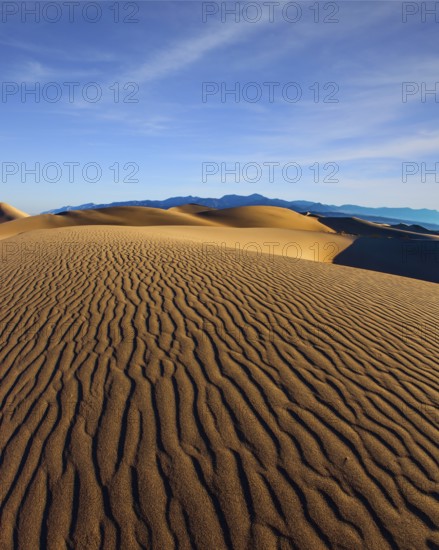 The gentle slopes of the sand dunes are rippled by the wind. USA. Mesquite Flat Sand Dunes is a