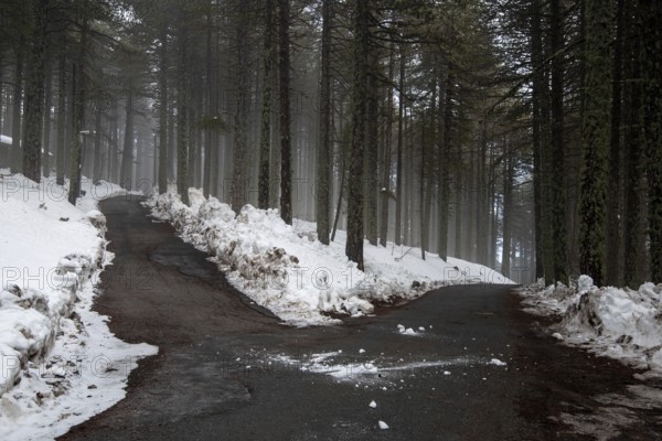 Winter forest landscape with mountain covered in snow and empty frozen road. Troodos mountains in