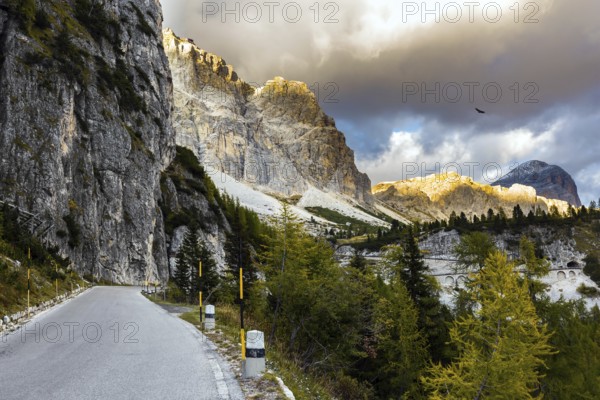 Beautiful asphalt road. The Falzarego Pass is located in the Dolomites. North of the Veneto region,