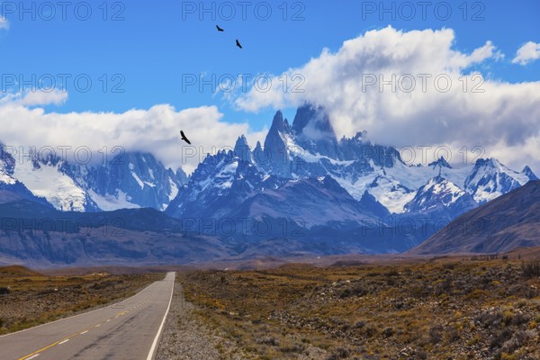 Over the road flying flock of Andean condors. The highway crosses the Patagonia and leads to