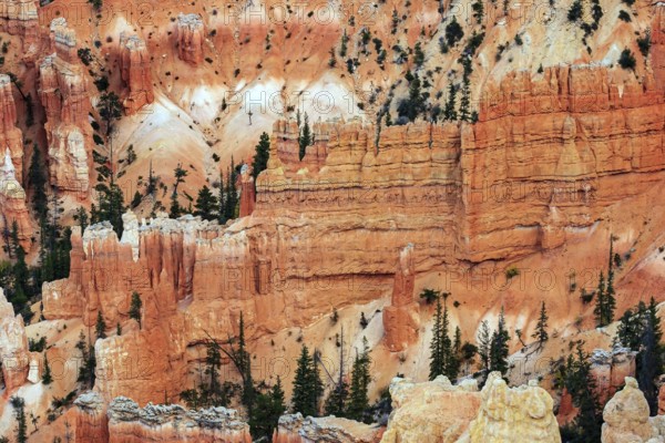 Giant hoodoo painting wall. Bryce Canyon, USA. Giant natural amphitheater created by erosion.