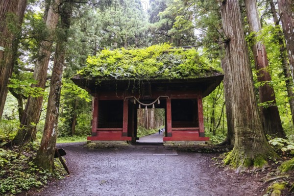 TOGAKUSHI, JAPAN - SEPTEMBER 19, 2024: Zuishinmon Gate and landscape around Togakushi Shrine on a