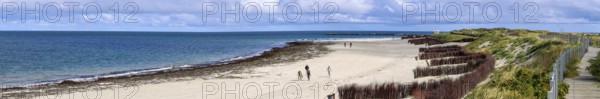 Panoramic photo north beach Helgoland dune with tourist hiker and wooden dune path, island