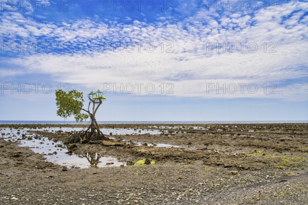 Beachsite near the former fisher-village Pemuteran at the North of Bali island. There was a Hindu