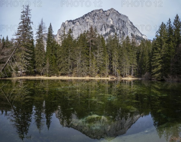 Pfarrerteich, Tragöß, Styria, Austria