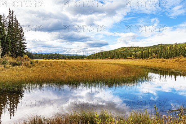 Autumn trip to the west of Canada. The cold shallow lake is surrounded by an evergreen forest. The