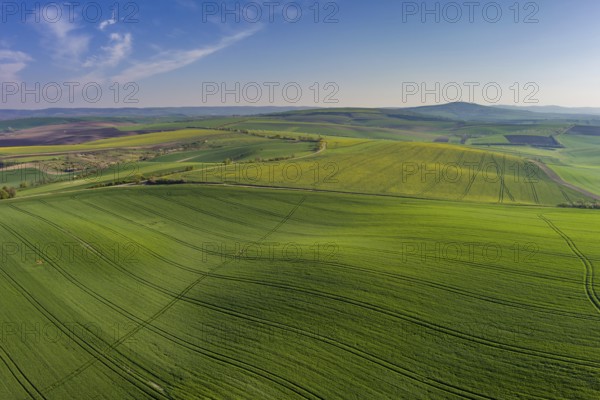 Aerial view of amazing green wavy hills with agricultural fields in spring. South Moravia region,