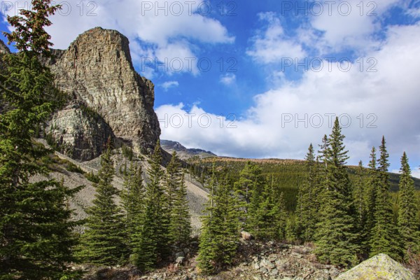 Surroundings of the mountain lake Moraine. Cloudy and cold autumn day. The magnificent Canadian