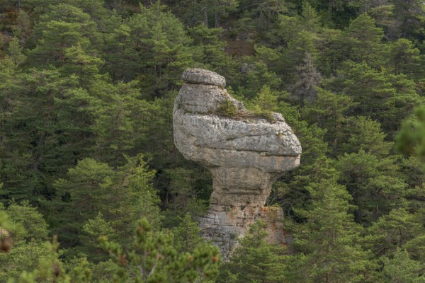 Remarkable rock called La Poule de Houdan in Cevennes National Park, UNESCO World Heritage Site.