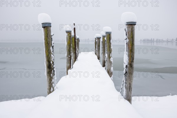 Snow-covered pier jutting into the misty lake, Seegarten, Allensbach, Lake Constance,