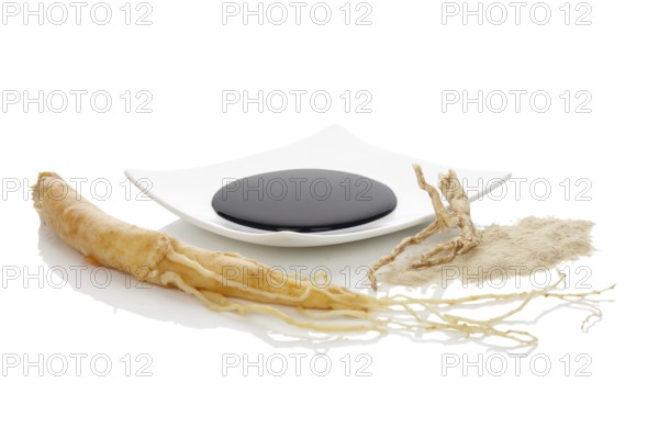 Pure ginseng powder and extract with ginseng root, isolated on white background. Korean ginseng.