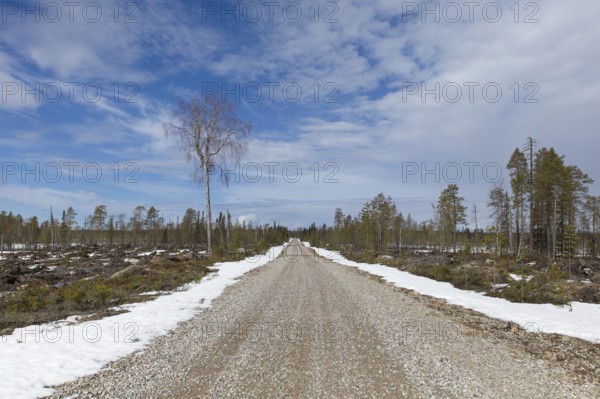 Gravel Julma-Ölkyntie road in forest in cloudy spring weather, Hossa National, Park, Suomussalmi,