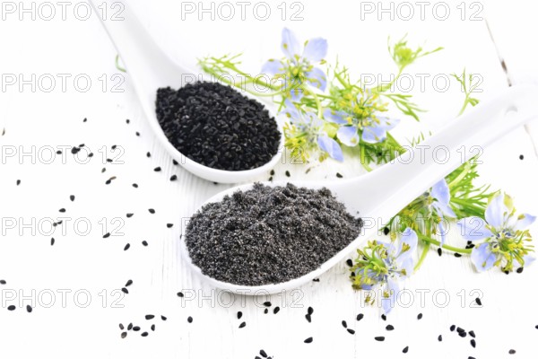 Flour and seeds of Nigella sativa in two spoons, sprigs of kalingini with blue flowers and green