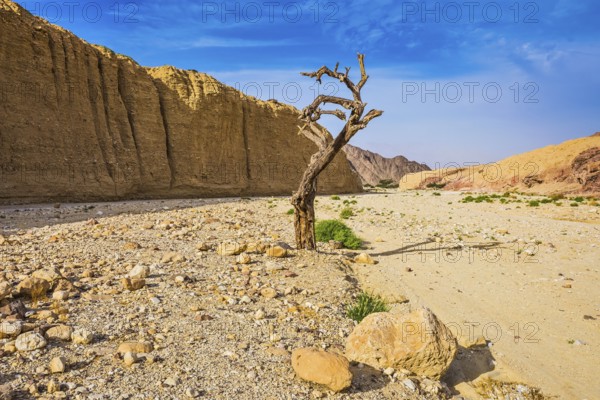 The stone desert in neighborhood of the sea resort of Eilat. Walking route on picturesque Black