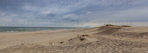 Holmsland Dunes next to Hvide Sande in Denmark has 40 km sandy beaches. Holmsland Dunes is the