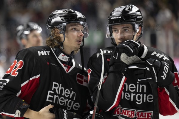 Laura Dick Cologne, LanxessArena, North Rhine-Westphalia, Hakon Hänelt (Koelner Haie, #92), Kevin