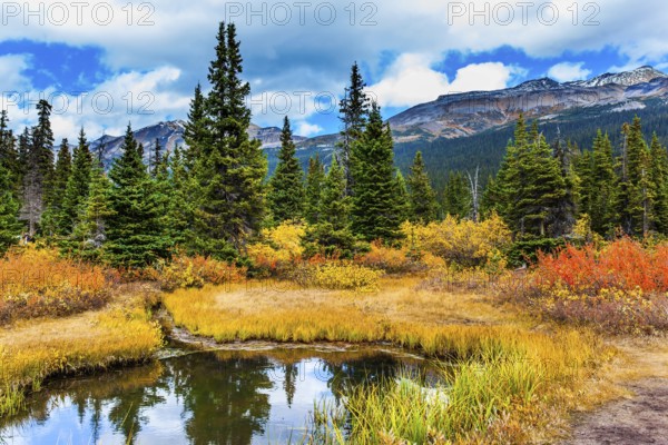The Rockies of Canada. Small picturesque puddle reflects the cloudy sky. Red, yellow and orange