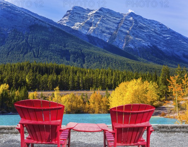Artificial Abraham lake reflects the golden foliage of aspen and birches. Rocky Mountains of
