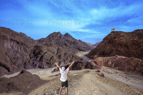 Lone tourist threw his hands up in delight in Eilat Mountains. Unique outcrops in the mountains of