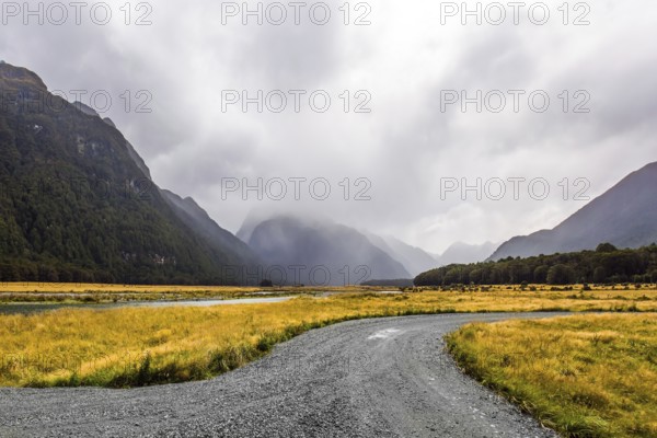 Dirt road to sea fjord Milford Sound. South Island of New Zealand. Fields with yellow autumn grass