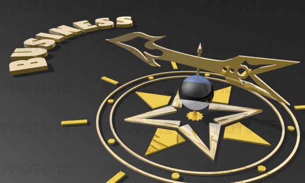 Red arrow of a compass pointing to the word business. 3D Rendering. Estonia business metaphor