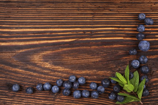 Fresh blueberry background with copyspace. Ripe fresh blueberries on rustic wooden background, top