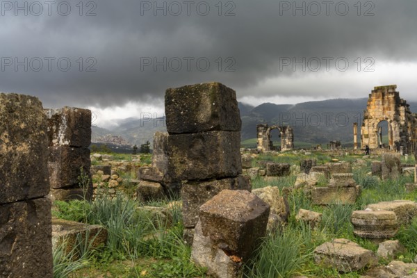 Volubilis, Morocco, 3 March, 2024: view of the Roman city ruins of Volubilis near Meknes in