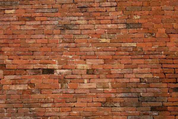 Brick wall ruins of Nalanda University first residential International University of world,