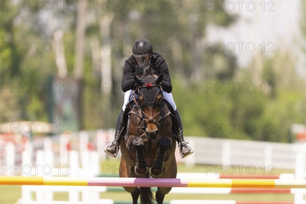 Kyle King of the United States and riding Odysseus, compete in the 1.60m Grand Prix during The