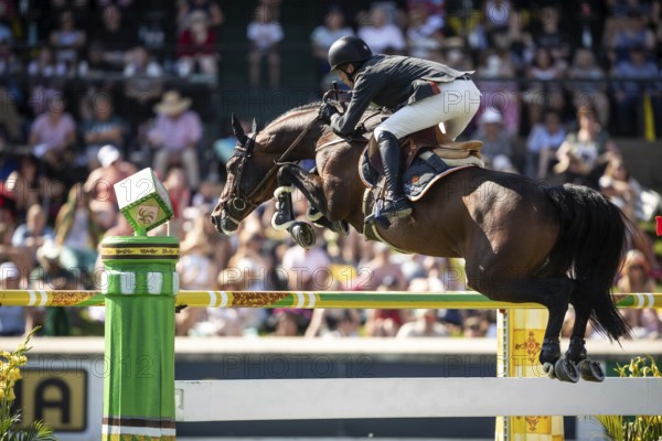 Harrie Smolders of The Netherlands and riding Uricas V/D Kattevennen compete in the first round of