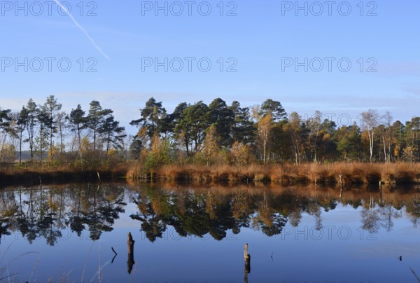Landscape in Autumn in the Fen Pietzmoor, Schneverdingen, Lower Saxony, Germany. Landscape in