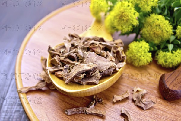 Spoon with dry roots of Rhodiola rosea, knife, fresh flowers Rhodiola rosea on a wooden tray on a