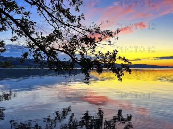 Colourful sunset on Lake Sempach with pink and blue sky reflections in the water, Sempach, Lucerne,