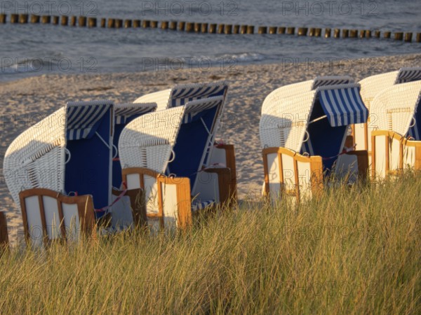 Row of beach chairs stands on the sandy beach overlooking the sea on a summer's day, zingst,